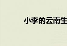 小李的云南生活（小李杜是誰(shuí)）