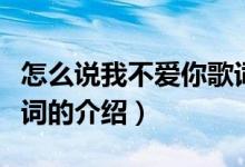 怎么說我不愛你歌詞（關于怎么說我不愛你歌詞的介紹）