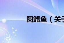 圓鰭魚（關(guān)于圓鰭魚的介紹）
