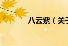 八云紫（關于八云紫的介紹）
