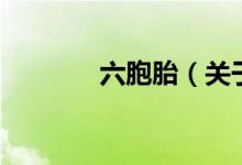 六胞胎（關于六胞胎的介紹）