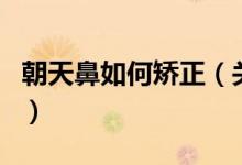 朝天鼻如何矯正（關(guān)于朝天鼻如何矯正的介紹）
