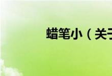 蠟筆小（關(guān)于蠟筆小的介紹）