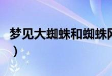 夢(mèng)見大蜘蛛和蜘蛛網(wǎng)是什么預(yù)兆（夢(mèng)見大蜘蛛）