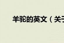 羊駝的英文（關于羊駝的英文的介紹）