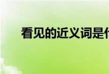 看見(jiàn)的近義詞是什么（看見(jiàn)的近義詞）