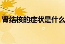 腎結(jié)核的癥狀是什么（腎結(jié)核的癥狀是什么）