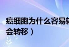 癌細(xì)胞為什么容易轉(zhuǎn)移和擴散(癌細(xì)胞為什么會轉(zhuǎn)移)