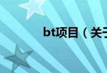 bt項目（關(guān)于bt項目的介紹）