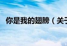 你是我的翅膀（關于你是我的翅膀的介紹）