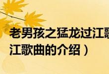 老男孩之猛龍過江歌曲（關(guān)于老男孩之猛龍過江歌曲的介紹）