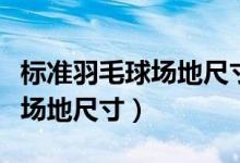 標(biāo)準(zhǔn)羽毛球場(chǎng)地尺寸平面圖手繪（標(biāo)準(zhǔn)羽毛球場(chǎng)地尺寸）