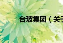 臺(tái)玻集團(tuán)（關(guān)于臺(tái)玻集團(tuán)的介紹）