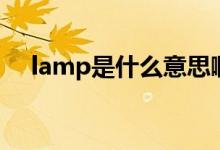 lamp是什么意思?。╨amp是什么意思）