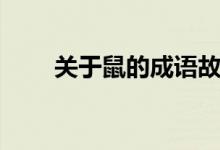 關(guān)于鼠的成語故事（關(guān)于鼠的成語）