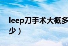 leep刀手術(shù)大概多少錢（leep刀手術(shù)費(fèi)用多少）