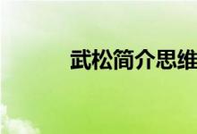 武松簡介思維導圖（武松簡介）