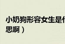 小奶狗形容女生是什么意思（小奶狗是什么意思?。?class=