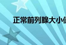 正常前列腺大小值（正常前列腺大?。?class=