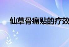 仙草骨痛貼的療效（仙草骨痛貼的價格）
