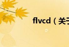 flvcd（關于flvcd的介紹）