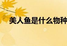 美人魚(yú)是什么物種（美人魚(yú)是什么動(dòng)物）