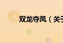 雙龍奪鳳（關于雙龍奪鳳的介紹）