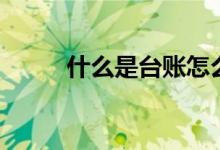 什么是臺(tái)賬怎么做（什么是臺(tái)賬）