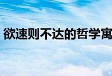 欲速則不達的哲學(xué)寓意（欲速則不達的故事）