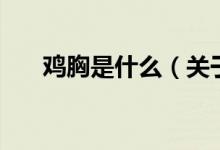 雞胸是什么（關于雞胸是什么的介紹）