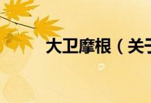 大衛(wèi)摩根（關于大衛(wèi)摩根的介紹）