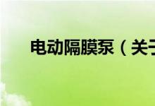 電動隔膜泵（關于電動隔膜泵的介紹）