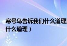 寒號鳥告訴我們什么道理用名言名句總結（寒號鳥告訴我們什么道理）