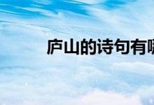 廬山的詩(shī)句有哪些（廬山的詩(shī)句）