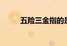 五險三金指的是什么（五險三金）