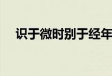 識(shí)于微時(shí)別于經(jīng)年什么意思（識(shí)于微時(shí)）