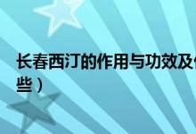 長(zhǎng)春西汀的作用與功效及價(jià)格（長(zhǎng)春西汀的作用與功效有哪些）