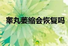 睪丸萎縮會(huì)恢復(fù)嗎（睪丸萎縮可以恢復(fù)嗎）
