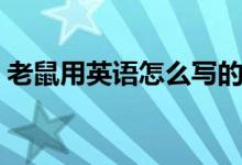 老鼠用英語(yǔ)怎么寫的(老鼠用英語(yǔ)怎么說(shuō)讀)