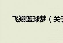 飛翔籃球夢(mèng)（關(guān)于飛翔籃球夢(mèng)的介紹）
