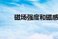磁場強度和磁感應(yīng)強度（磁場強度）