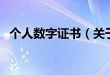 個(gè)人數(shù)字證書(shū)（關(guān)于個(gè)人數(shù)字證書(shū)的介紹）
