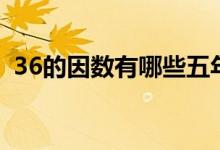 36的因數(shù)有哪些五年級（36的因數(shù)有哪些）