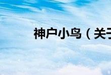 神戶小鳥(niǎo)（關(guān)于神戶小鳥(niǎo)的介紹）