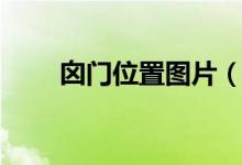 囟門(mén)位置圖片（囪門(mén)的位置在哪兒）