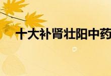十大補腎壯陽中藥(幾大補腎壯陽中藥)
