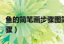 魚的簡(jiǎn)筆畫步驟圖簡(jiǎn)單又好看（魚的簡(jiǎn)筆畫步驟）