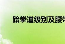 跆拳道級別及腰帶顏色（跆拳道級別）