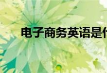 電子商務(wù)英語(yǔ)是什么（電子商務(wù)英語(yǔ)）