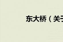東大橋(關(guān)于東大橋的介紹)